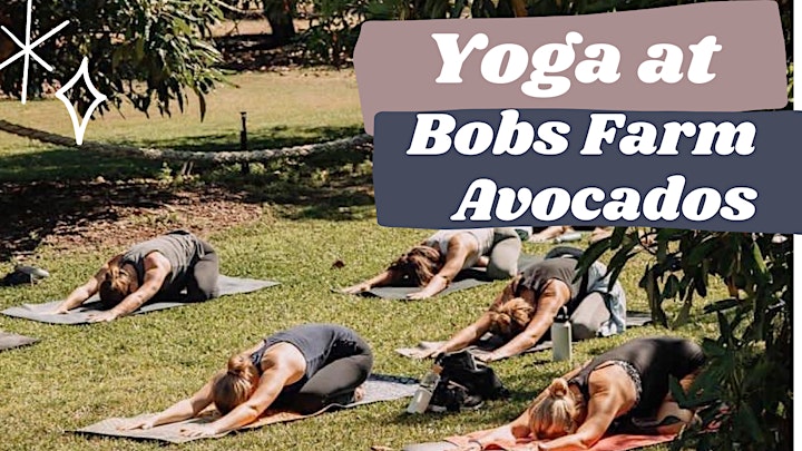 Yoga at Bobs Farm Avocados image