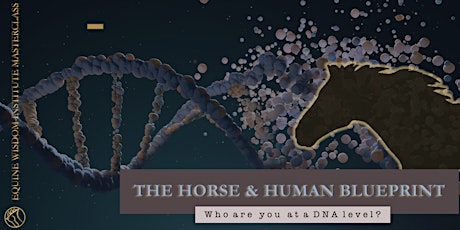 The Horse & Human Design Blueprint tickets