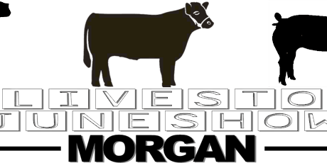 Morgan County 4-H Jr. Livestock June Show primary image