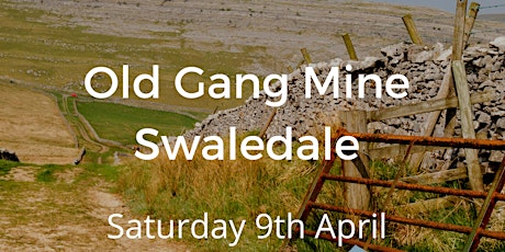 Old Gang Mine - Stile Free Guided Walk with Access the Dales tickets