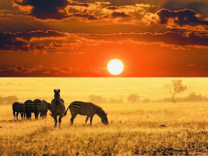 Daylight Africa Week image