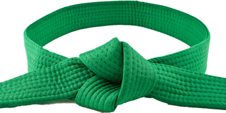 Six Sigma Green Belt on-line training & certification class primary image