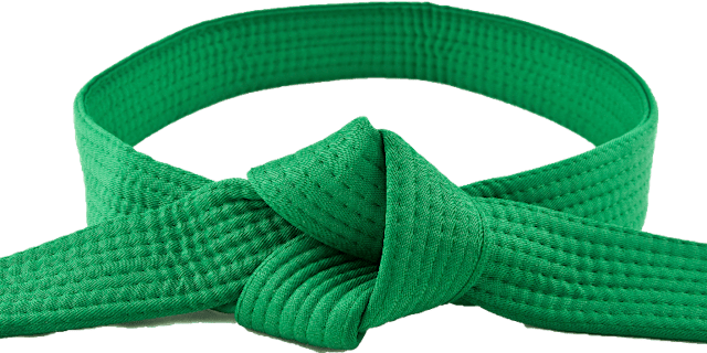 Image principale de Six Sigma Green Belt on-line training & certification class