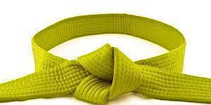 Image principale de FREE Six Sigma Yellow Belt - on-line certification class