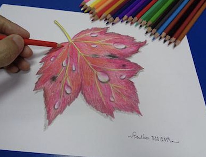 
		Coloured Pencil Drawing Course - NT20220307CPD image
