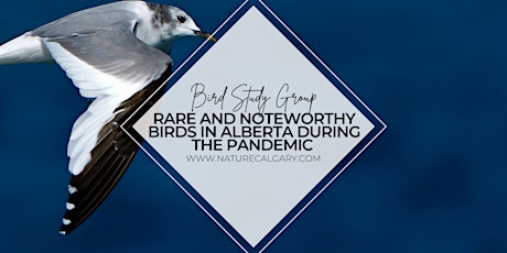 Bird Study Group: Noteworthy and Rare Birds during the COVID Pandemic tickets