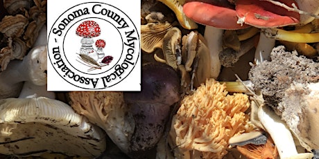 SOMA Wild Mushroom Foray at Salt Point State Park - Feb 19, 2022 tickets