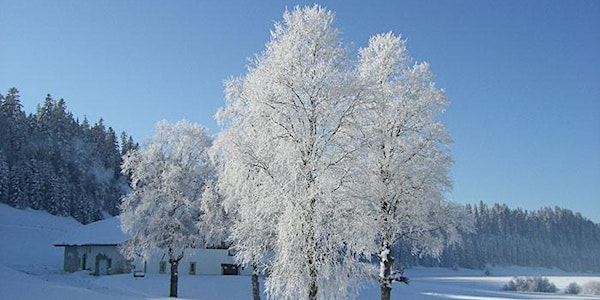 Atem holen in der Winterzeit am Freitag, 21. Januar,  Hl. Ewalde Wuppertal