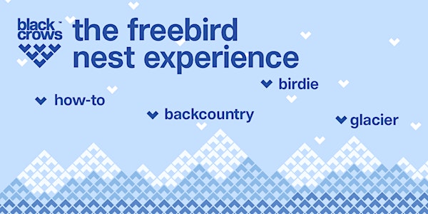 the freebird nest experience | backcountry skiing