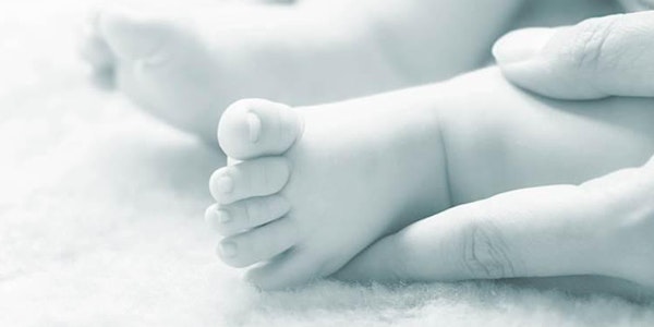 Understanding Birth eClass, a complete online course!