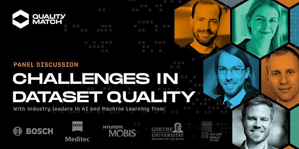 Panel Discussion: Challenges in Dataset Quality for Machine Learning