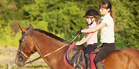 2022  Lake County Veterans and Family Foundation  Free Horseback Lesson primary image