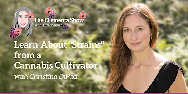 Learn About "Strains" from a Cannabis Cultivator Christina DiPaci