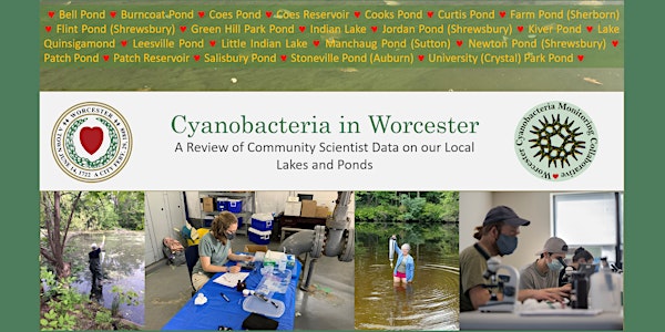 Cyanobacteria in Worcester Lakes: Community Science Results for 2021