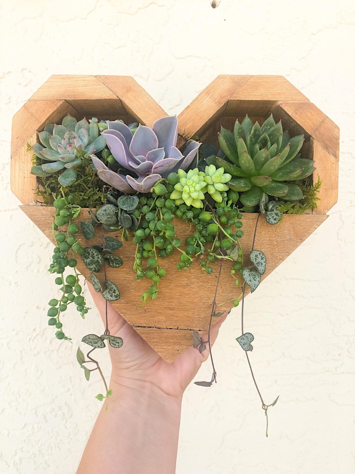 Make-n-Take: Succulent Heart Planter Box image