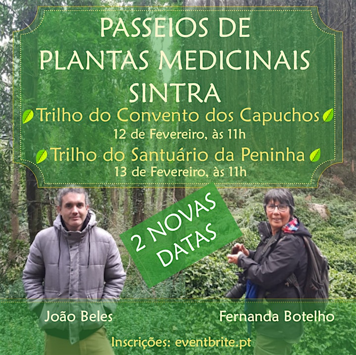 
		Passeio Plantas Medicinais, Peninha, Sintra - Fernanda Botelho e João Beles image
