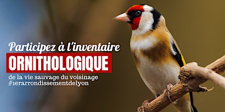 Inventaire participatif des oiseaux hivernants du 1er arrondissement Lyon billets