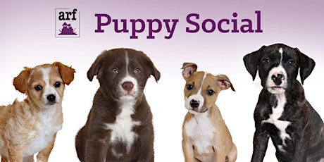 ARF Puppy Social tickets