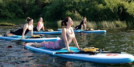 Aquafest Intro to Paddleboard Yoga Class primary image