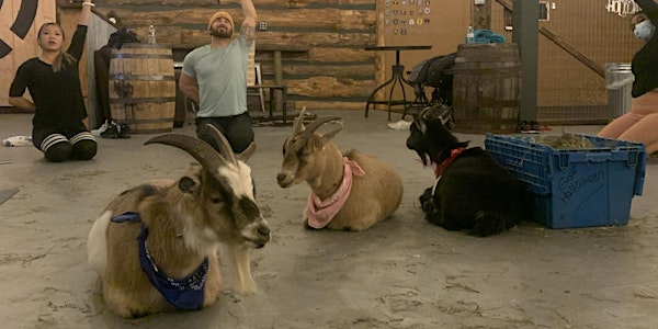 Greatest of Axe Time Goat Yoga