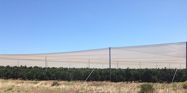 Apple & citrus netting enclosures field day