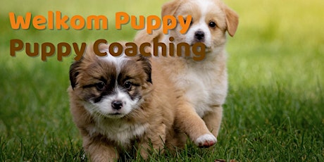 Welkom Puppy: Puppy Coaching tickets