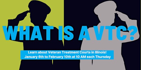 Ask the Expert Mini-Series: What are Veteran Treatment Courts? tickets