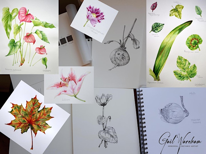 Botanic Painting - How to get started image