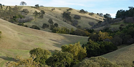 Caminemos (Let's Hike) Curry Canyon Ranch (Lower 200)