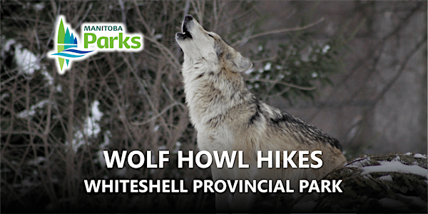 Wolf Howl Hikes
