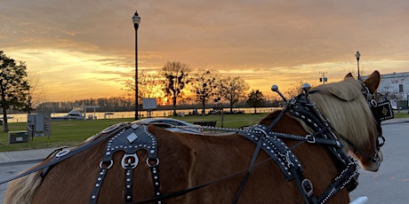 February Horse-Drawn Carriage Rides tickets