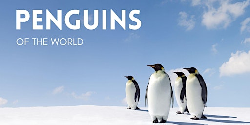 Primaire afbeelding van Penguins of the World