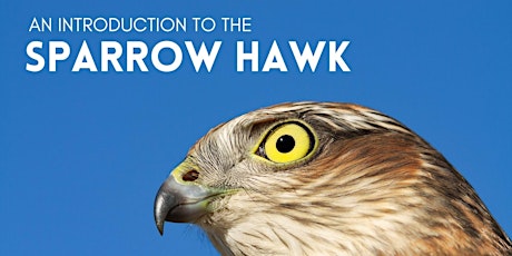 An Introduction to the Sparrow Hawk tickets