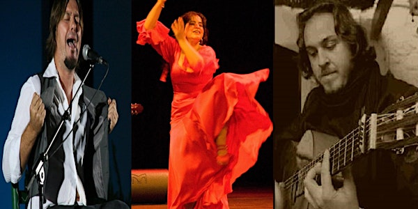 Flamenco Intimo, Sevilla
