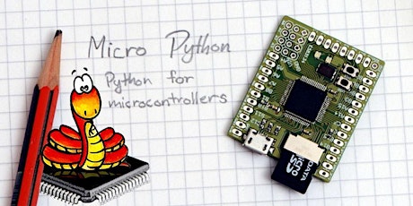 Immagine principale di Sviluppare firmware con MicroPython 