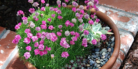 California Native Container Plants with Flora Ito tickets