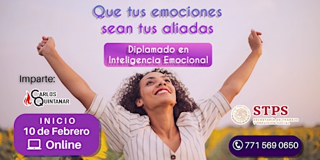 Imagen principal de Diplomado en Inteligencia Emocional