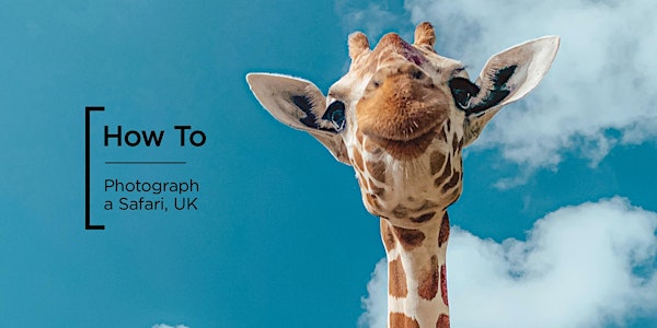 How To | Photograph the Safari, UK