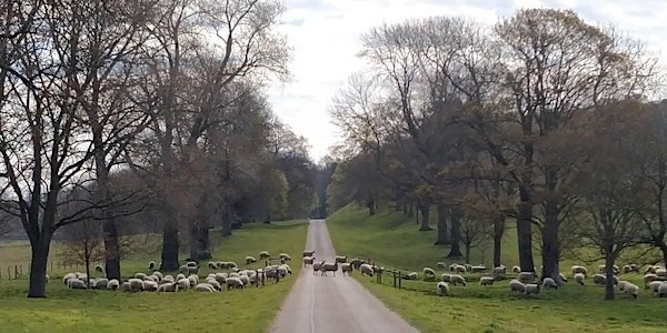 Virtual Tour - Hertfordshire - Countryside on London's Border