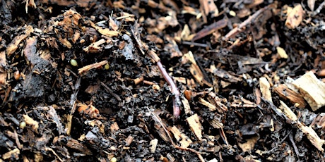 Woodchip as Mulch, Soil Health Improver and Propagation  ONLINE Zoom Event tickets