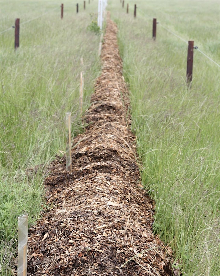 
		Woodchip as Mulch, Soil Health Improver and Propagation  ONLINE Zoom Event image
