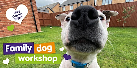 Family Dog Workshop - Live Zoom Event tickets