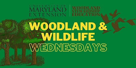 2022 Woodland Wildlife Wednesday Webinars primary image