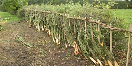 Dunsmore Living Landscape: Introduction to Hedge Laying tickets