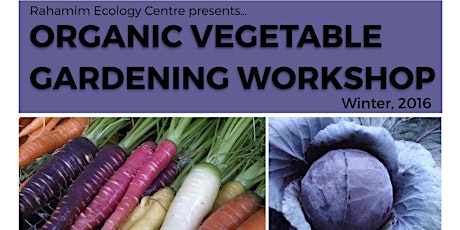 Winter Vegetable Gardening Course primary image