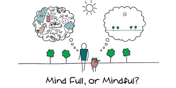 MINDFULNESS&MANAGEMENT I principi, le tecniche e i benefici