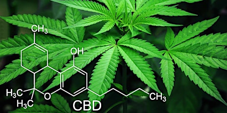 Introduction to Cannabinoids seminar for Homeopathic doctors/practitioners tickets