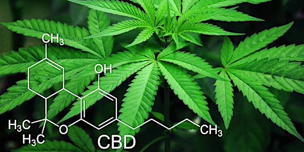 Introduction to Cannabinoids seminar for Homeopathic doctors/practitioners