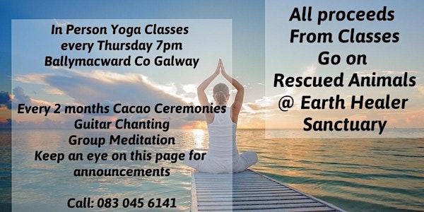 Hatha & Yin Yoga Classes Every Thursday - Beginner Friendly
