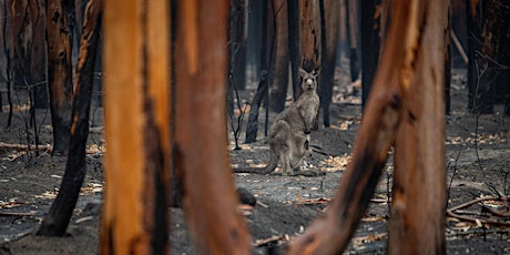 Wildlife Survivors: Recovery after the Black Summer Bushfires tickets